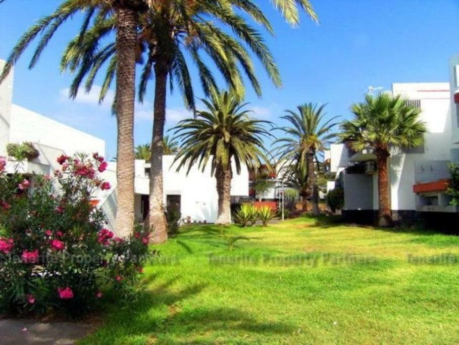 Frontera Primavera Costa Del Silencio Εξωτερικό φωτογραφία